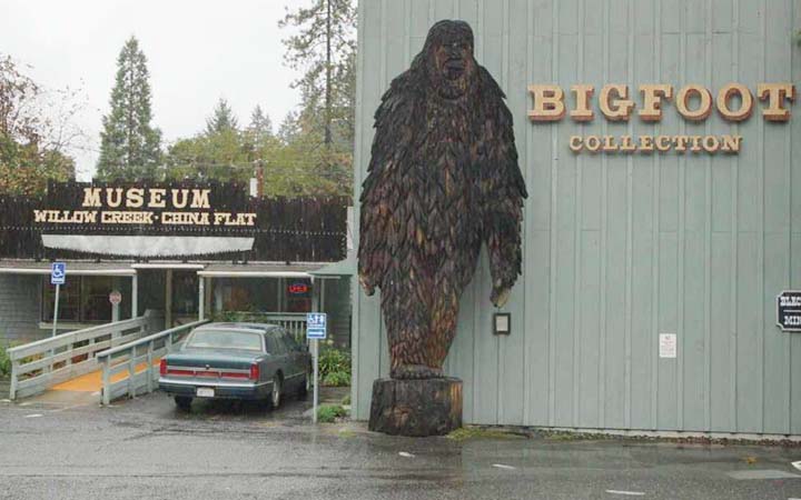 Bigfoot in Willow Creek