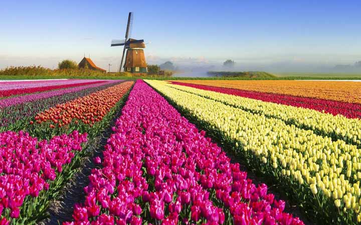 5 Breathtaking Places You Need To Visit this Spring! - Travel and ...