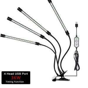36W Four Heads.jpg