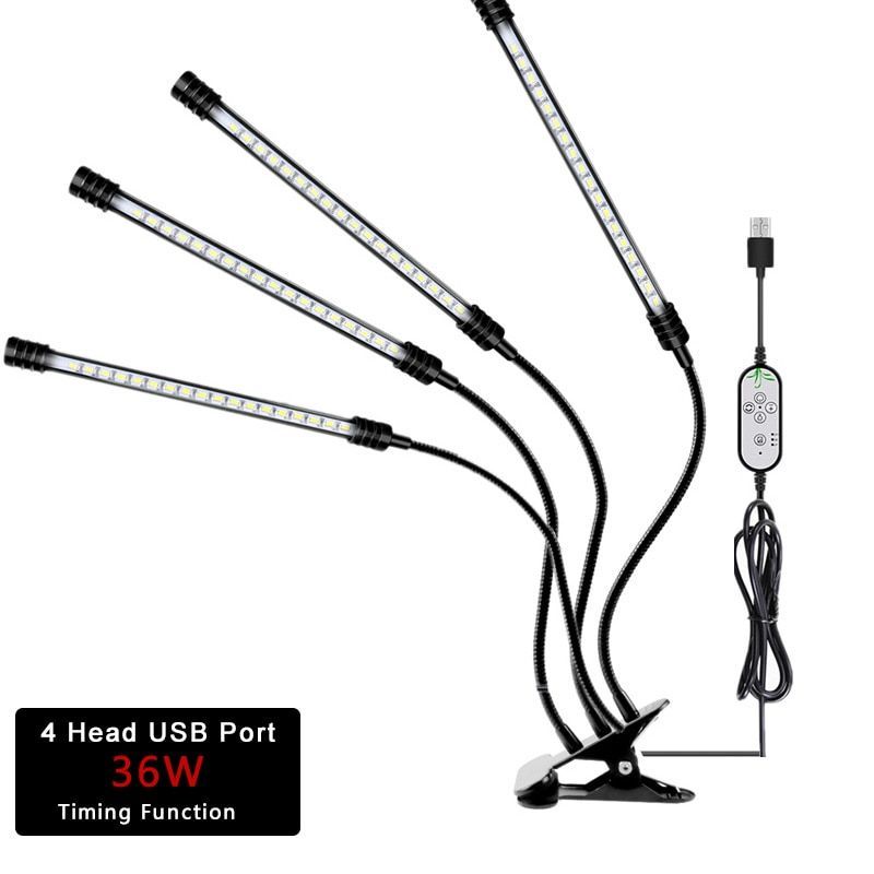 36W Four Heads.jpg
