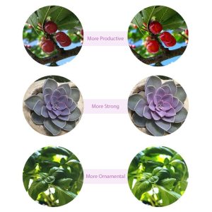 Plant LED Grow Light_0008_Layer 12.jpg