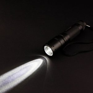 LED Bulb replacement9.jpg