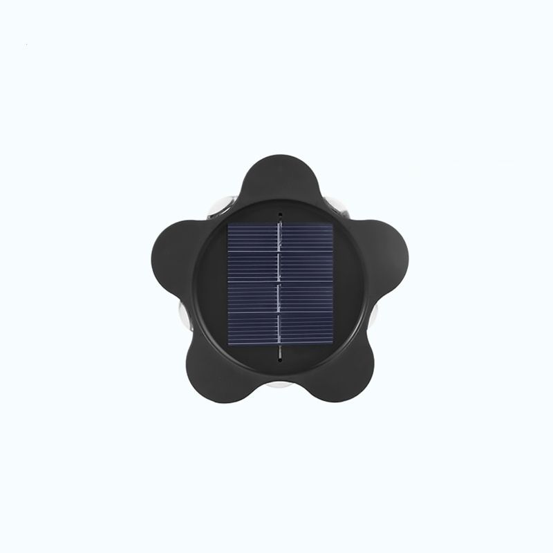 star solar light_0000_3.jpg