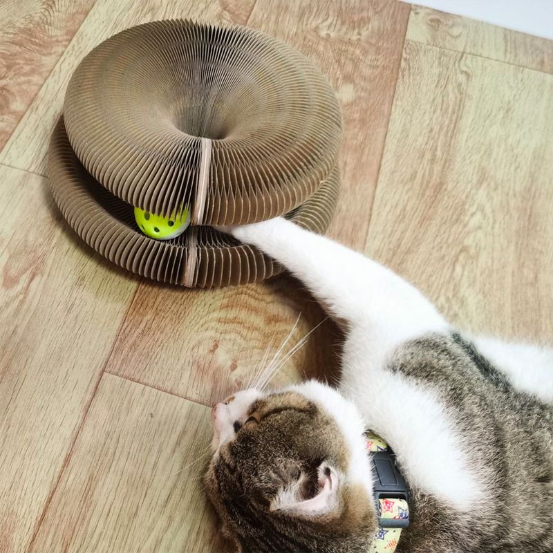 Cat Scratching Toy4.jpg