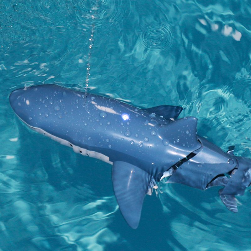 Shark Toy Remote Control_0000_Layer 5.jpg