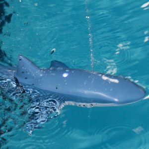 Shark Toy Remote Control_0001_Layer 4.jpg