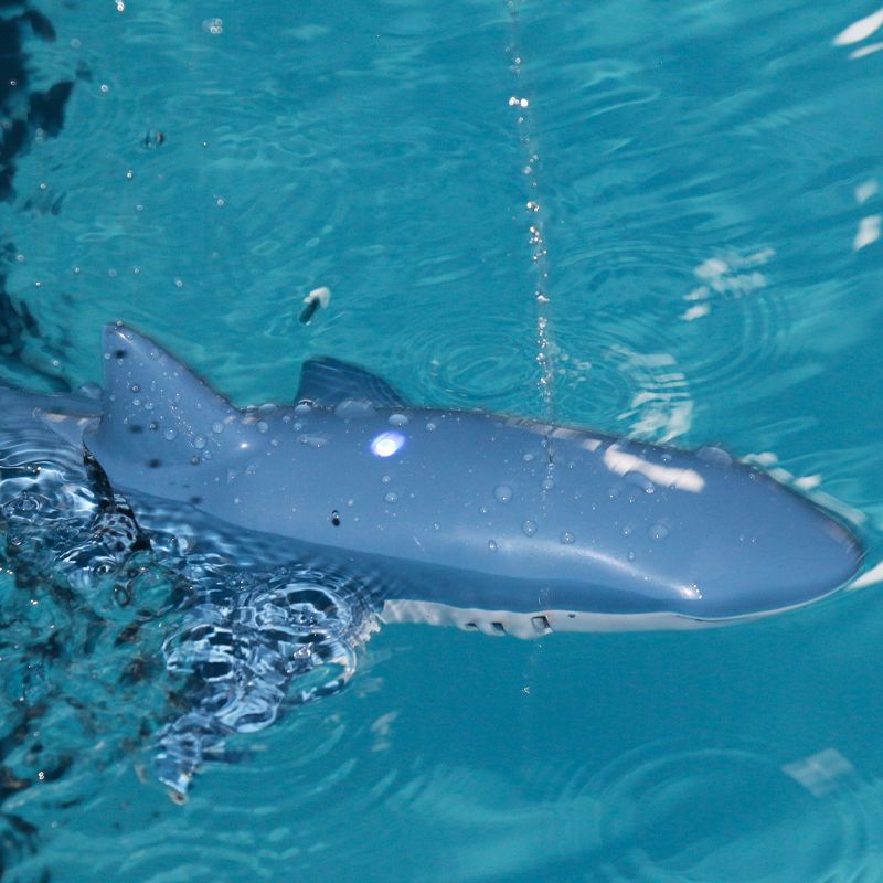 Shark Toy Remote Control_0001_Layer 4.jpg