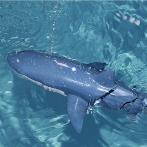 Shark Toy Remote Control_0012_Gallery-3.jpg